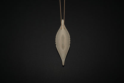 Large Fluted Broad Shield