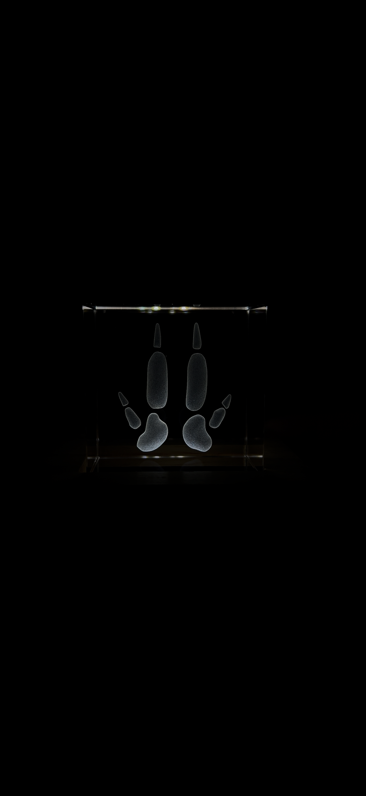 Engraved K9 Crystal