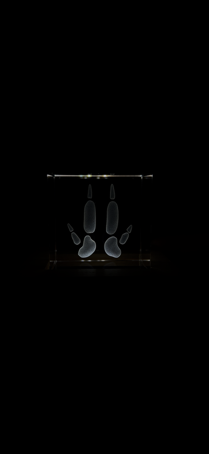 Engraved K9 Crystal