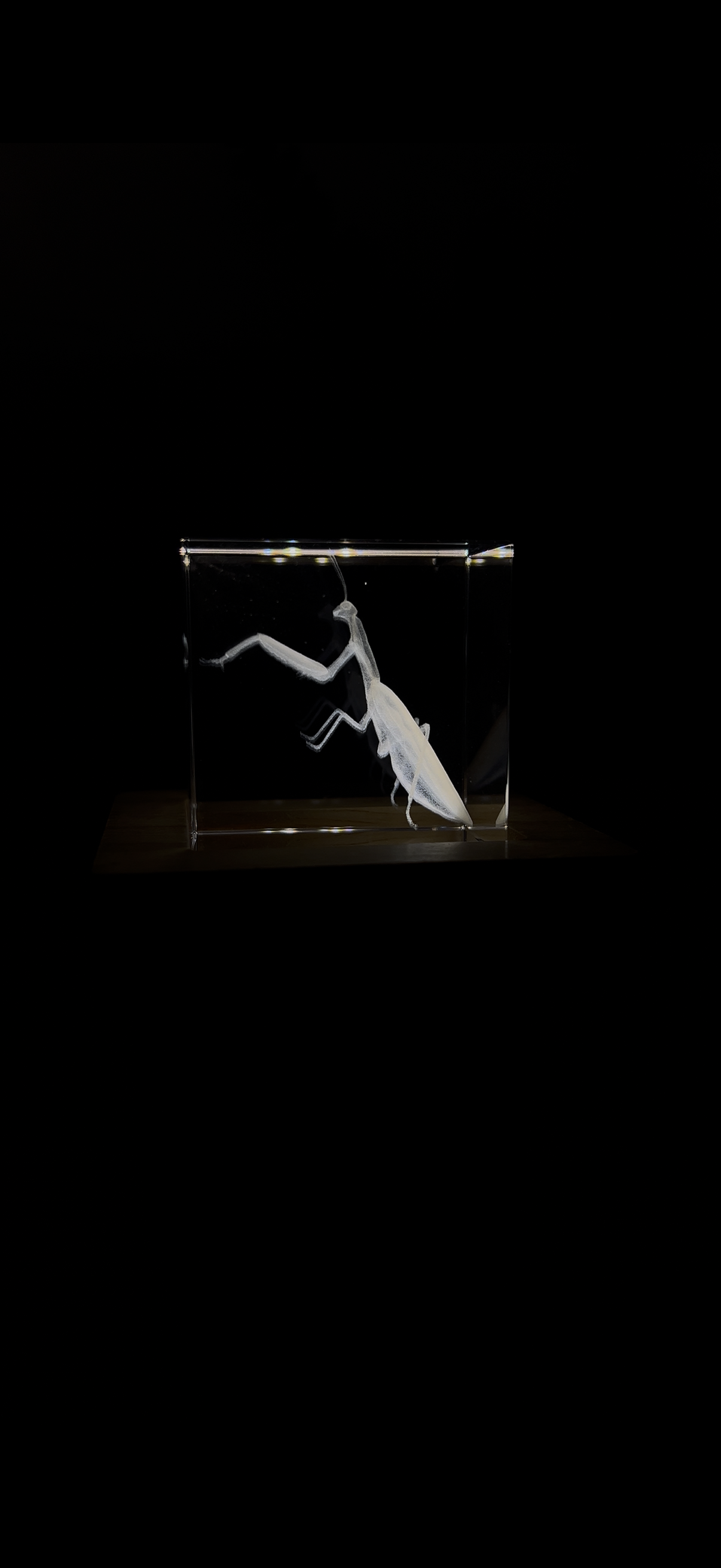 Engraved K9 Crystal