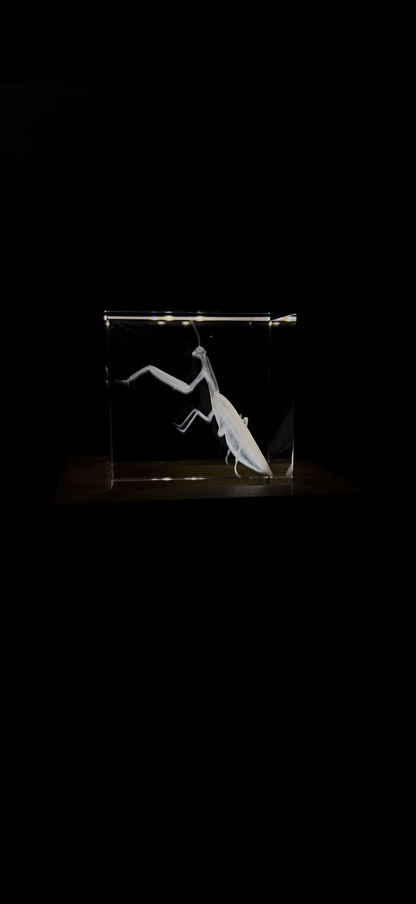 Engraved K9 Crystal