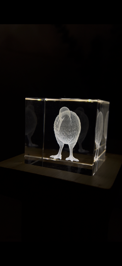 Engraved K9 Crystal