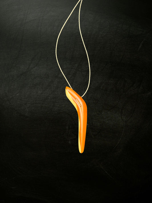 Hunting Boomerang