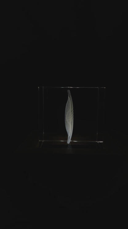 Engraved K9 Crystal