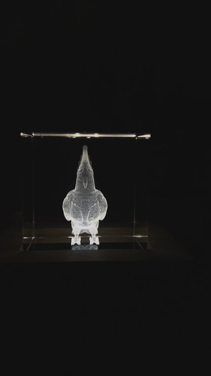 Engraved K9 Crystal