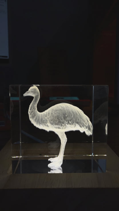 Engraved K9 Crystal
